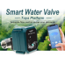 Встраиваемый Датчик Клапан Перекрытия воды для умного дома WI-FI / Автоматический полив / Умный шаровый кран